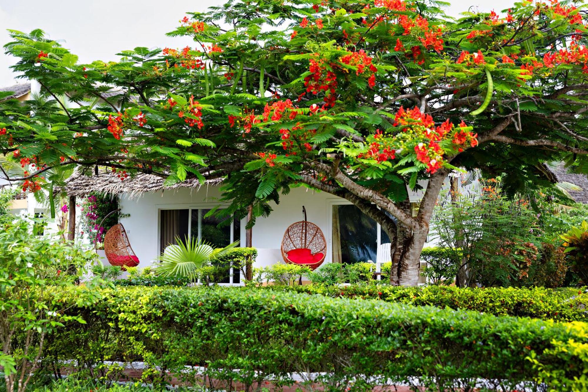 Tanzanite Beach Resort Nungwi Exterior photo